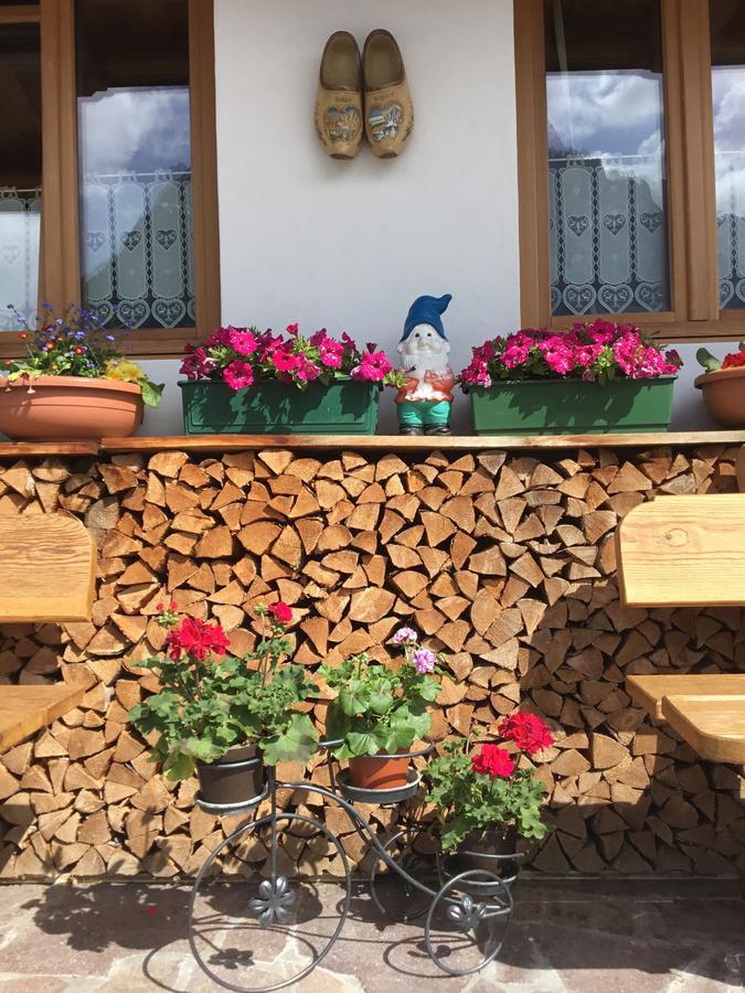 B&B Solder Chalet Dolomiti Сапада Екстериор снимка