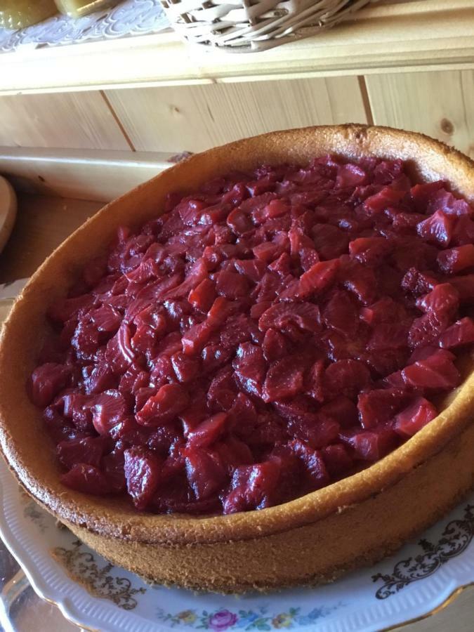 B&B Solder Chalet Dolomiti Сапада Екстериор снимка